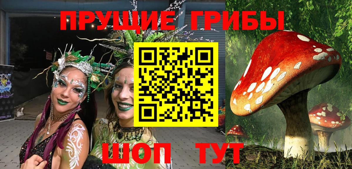 Псилоцибиновые грибы GOLDEN TEACHER Кыштым